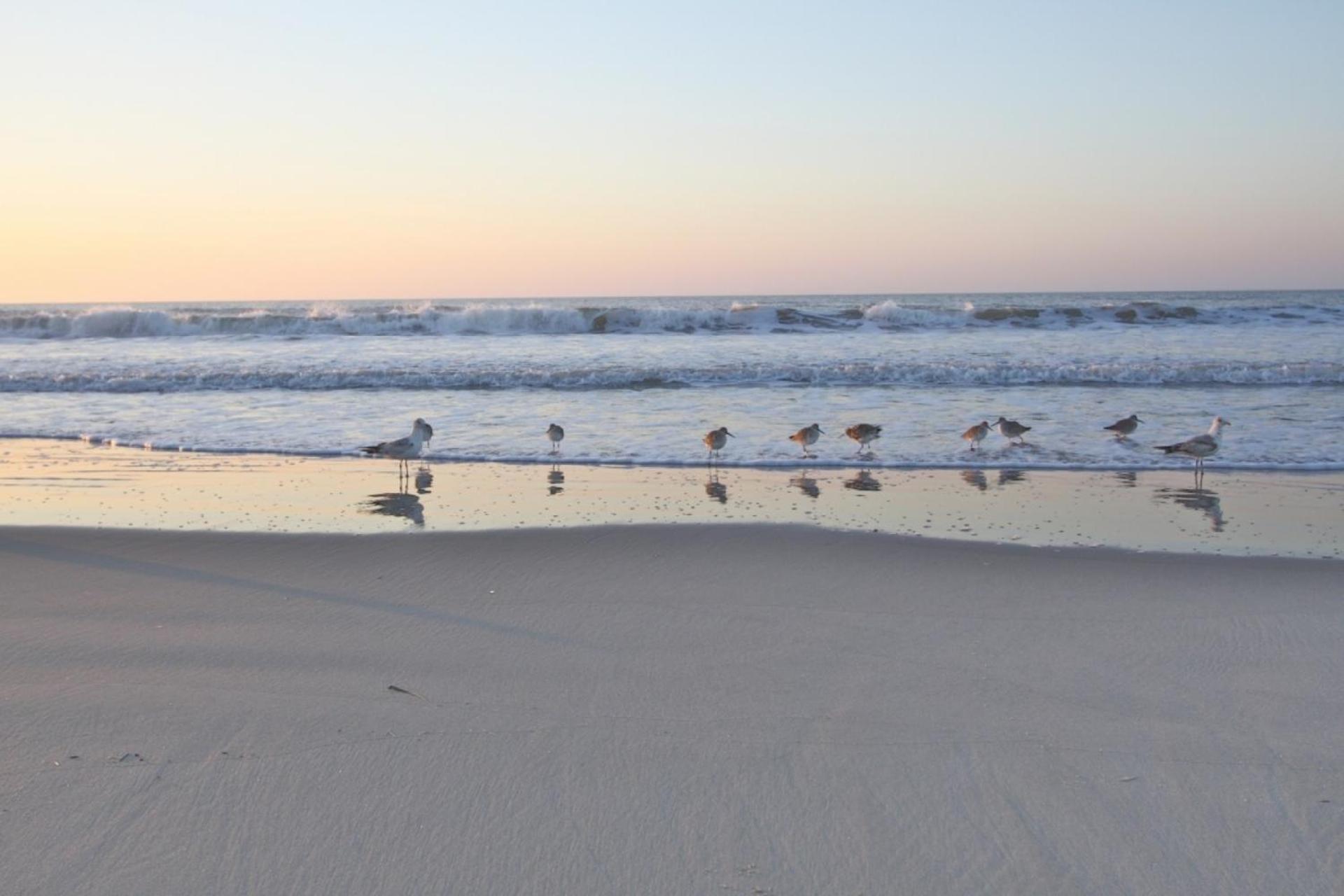 Ocean Pearl Villa Isle of Palms Eksteriør bilde